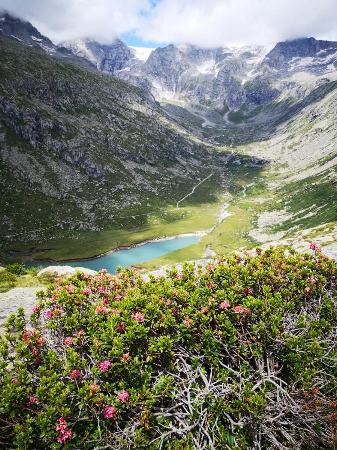 Rifugio Stella Alpina Hotel Saviore dell'Adamello Екстериор снимка