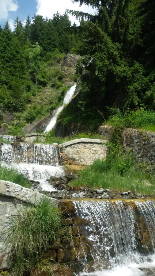 Rifugio Stella Alpina Hotel Saviore dell'Adamello Екстериор снимка