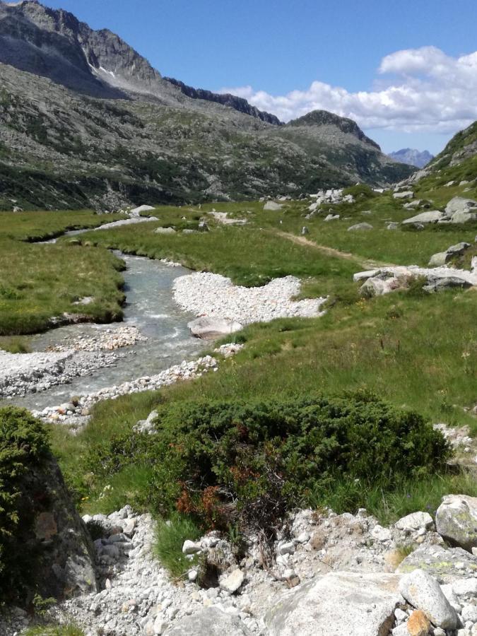 Rifugio Stella Alpina Hotel Saviore dell'Adamello Екстериор снимка
